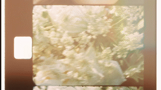 Film 6